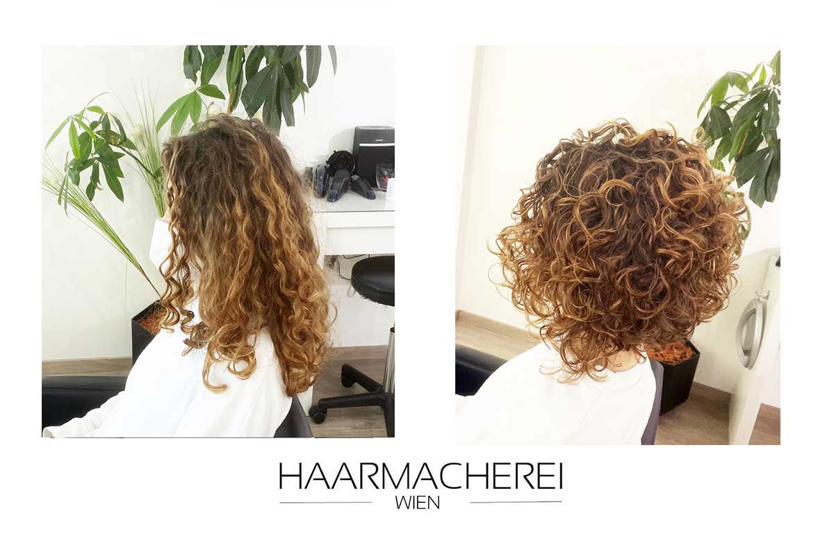 Locken Curlsys Wien Volumen2